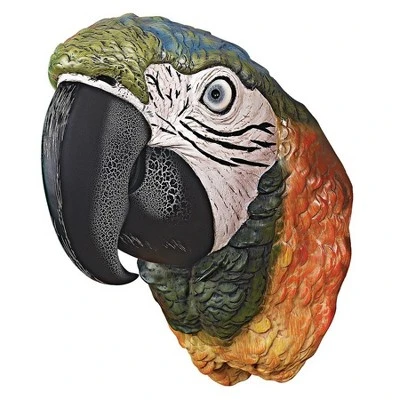 Design Toscano Paradise Parrot Head Wall Sculpture 1 Design Toscano Paradise Parrot Head Wall Sculpture