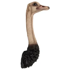 Design Toscano Ostrich Bird Trophy Wall Sculpture 10 Design Toscano Ostrich Bird Trophy Wall Sculpture -Garden Outdoor Store GUEST 64c24820 5ddf 4834 be4e c2939e40de2f
